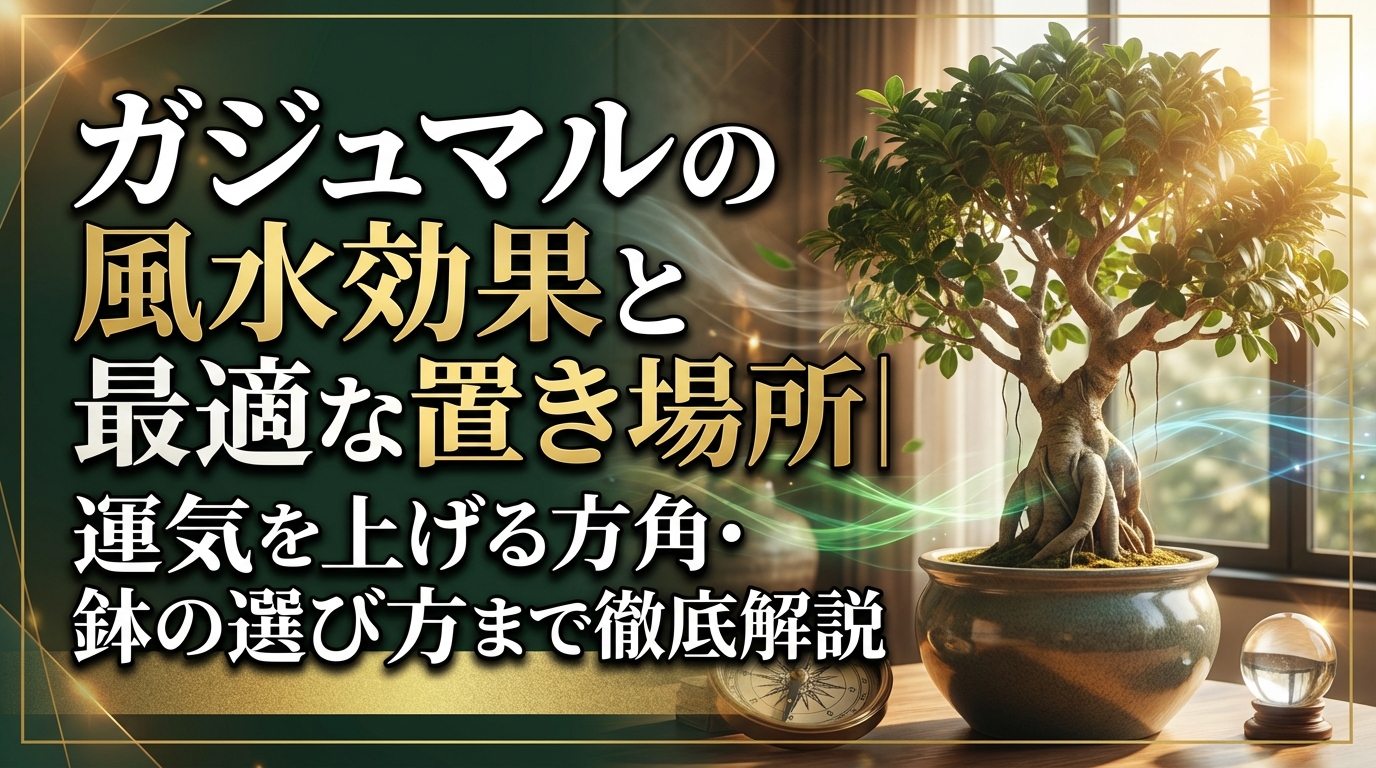 ガジュマルの風水効果と最適な置き場所｜運気を上げる方角・鉢の選び方まで徹底解説