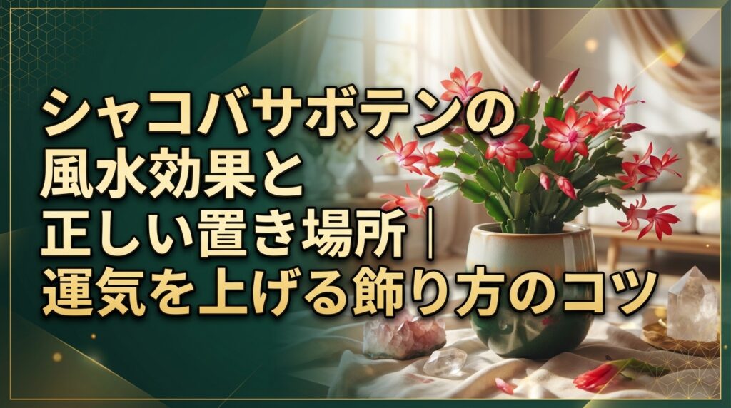 シャコバサボテンの風水効果と正しい置き場所｜運気を上げる飾り方のコツ