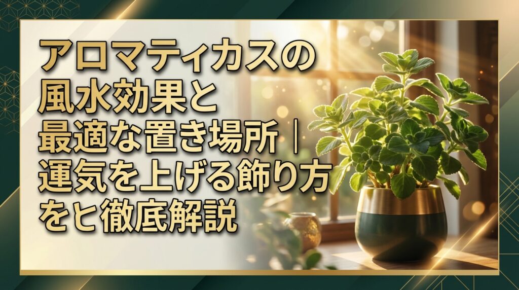 アロマティカスの風水効果と最適な置き場所｜運気を上げる飾り方を徹底解説