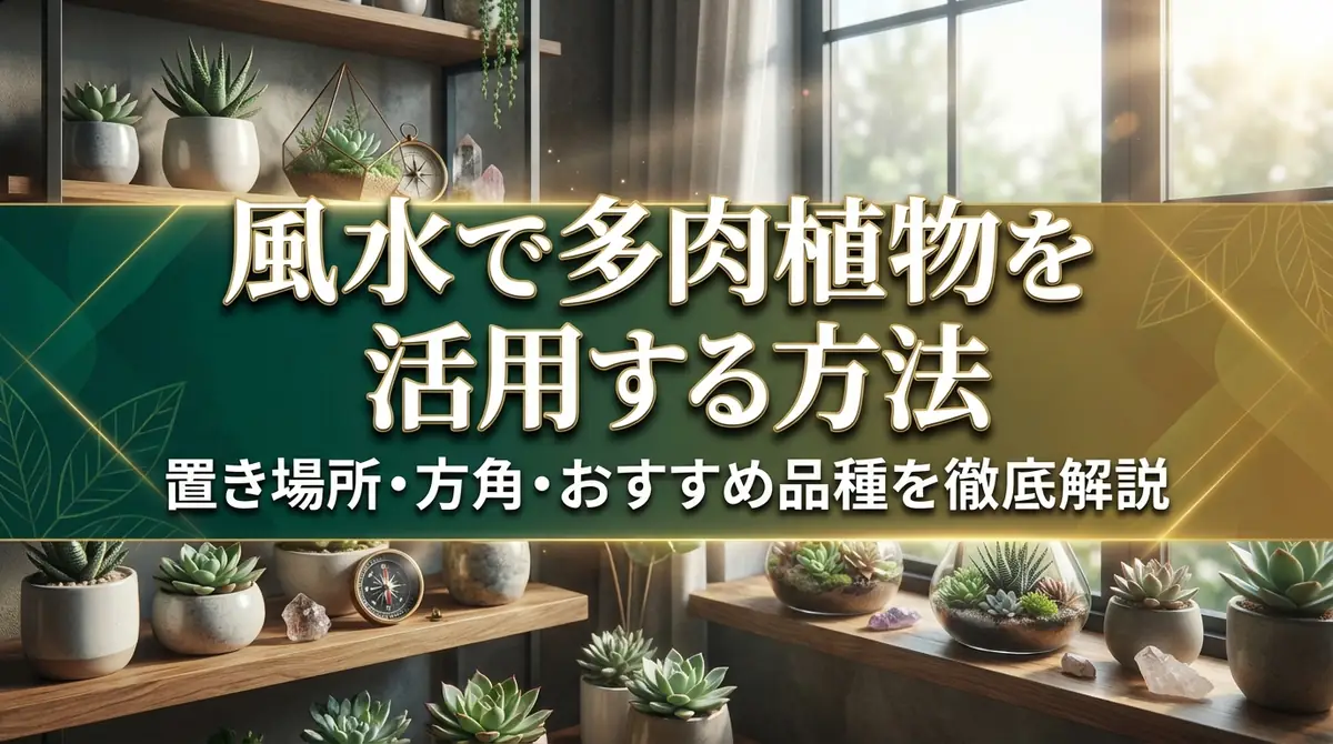 風水で多肉植物を活用する方法｜置き場所・方角・おすすめ品種を徹底解説